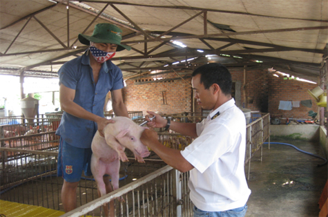 cuc-thu-y-binh-dinh