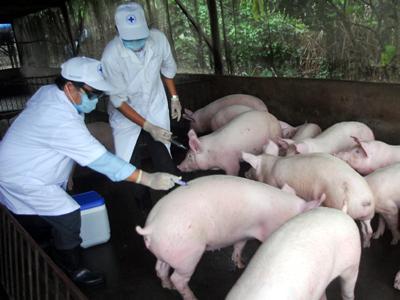 cuc-thu-y-ninh-binh