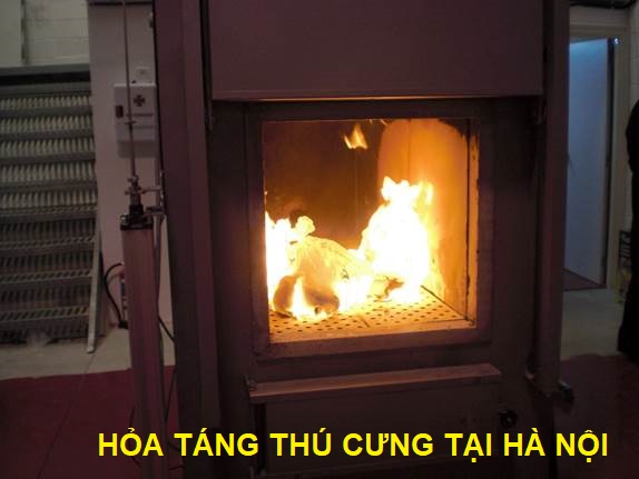 Hỏa táng thú cưng tại Hà Nội Hỏa táng thú cưng tại Hà Nội