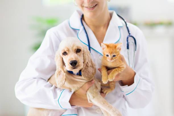 Phòng khám thú y phường Nam Từ Liêm - khu vực quận Nam Từ Liêm cũ