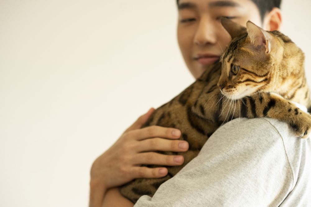Bạn trai tôi thương mèo còn hơn cả người yêu