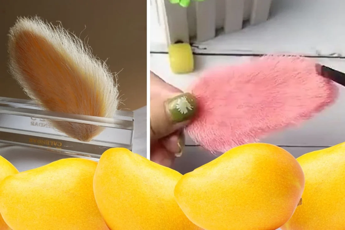 Thú nuôi hạt xoài độc lạ, gây tranh cãi của giới trẻ Trung Quốc - 1