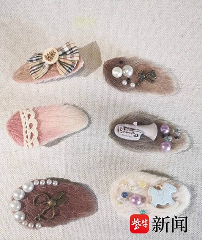 Thú nuôi hạt xoài độc lạ, gây tranh cãi của giới trẻ Trung Quốc - 3