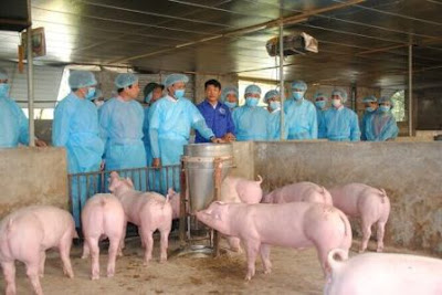 công tác phòng chống dịch bệnh Chi cục thú y Nghệ An