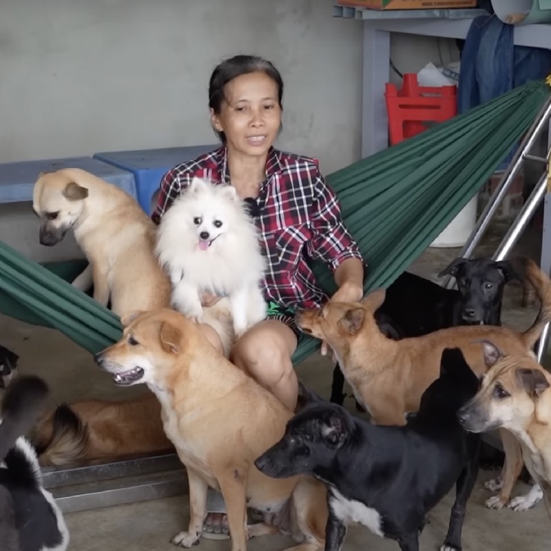Chị vợ vô cùng yêu thương các chú chó nhà mình. (Ảnh: YouTube Độc Lạ Bình Dương) Chị vợ vô cùng yêu thương các chú chó nhà mình. (Ảnh: YouTube Độc Lạ Bình Dương)