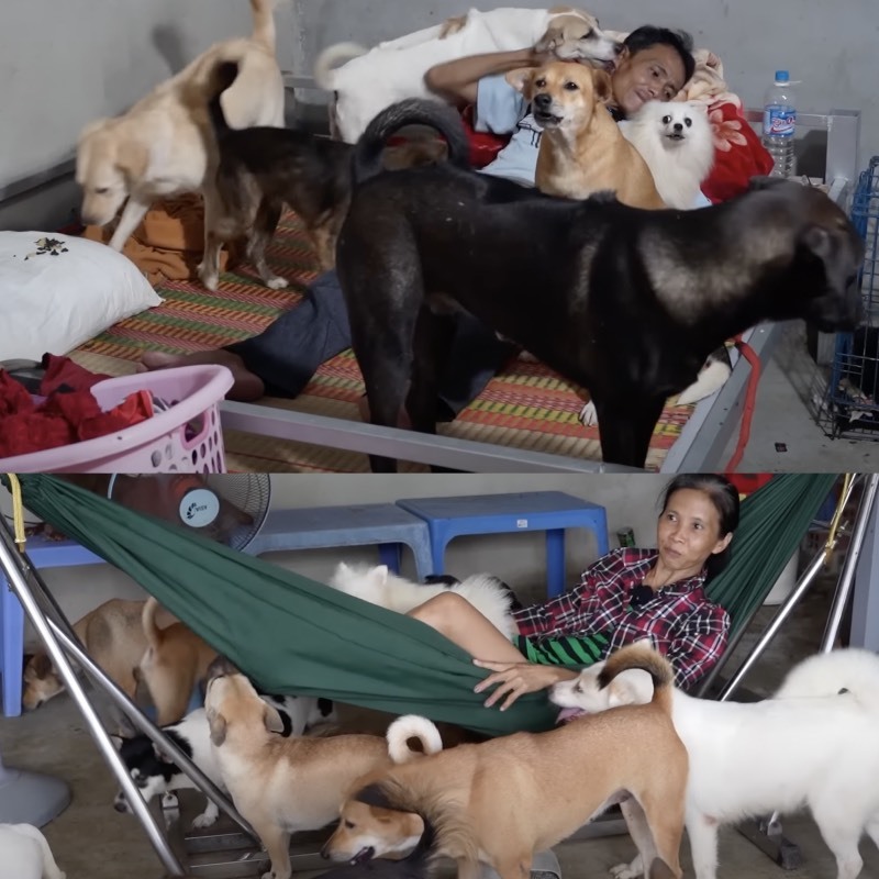 Hai vợ chồng đã phải tách ra ngủ riêng vì những con cún luôn muốn trèo lên giường để nằm cùng. (Ảnh: YouTube Độc Lạ Bình Dương) Hai vợ chồng đã phải tách ra ngủ riêng vì những con cún luôn muốn trèo lên giường để nằm cùng. (Ảnh: YouTube Độc Lạ Bình Dương)