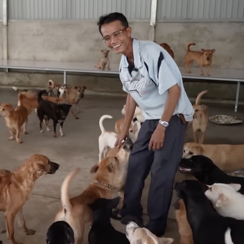 Dù nuôi nhiều chó mèo như vậy nhưng anh chị vẫn cảm thấy vô cùng hạnh phúc. (Ảnh: YouTube Độc Lạ Bình Dương) Dù nuôi nhiều chó mèo như vậy nhưng anh chị vẫn cảm thấy vô cùng hạnh phúc. (Ảnh: YouTube Độc Lạ Bình Dương)