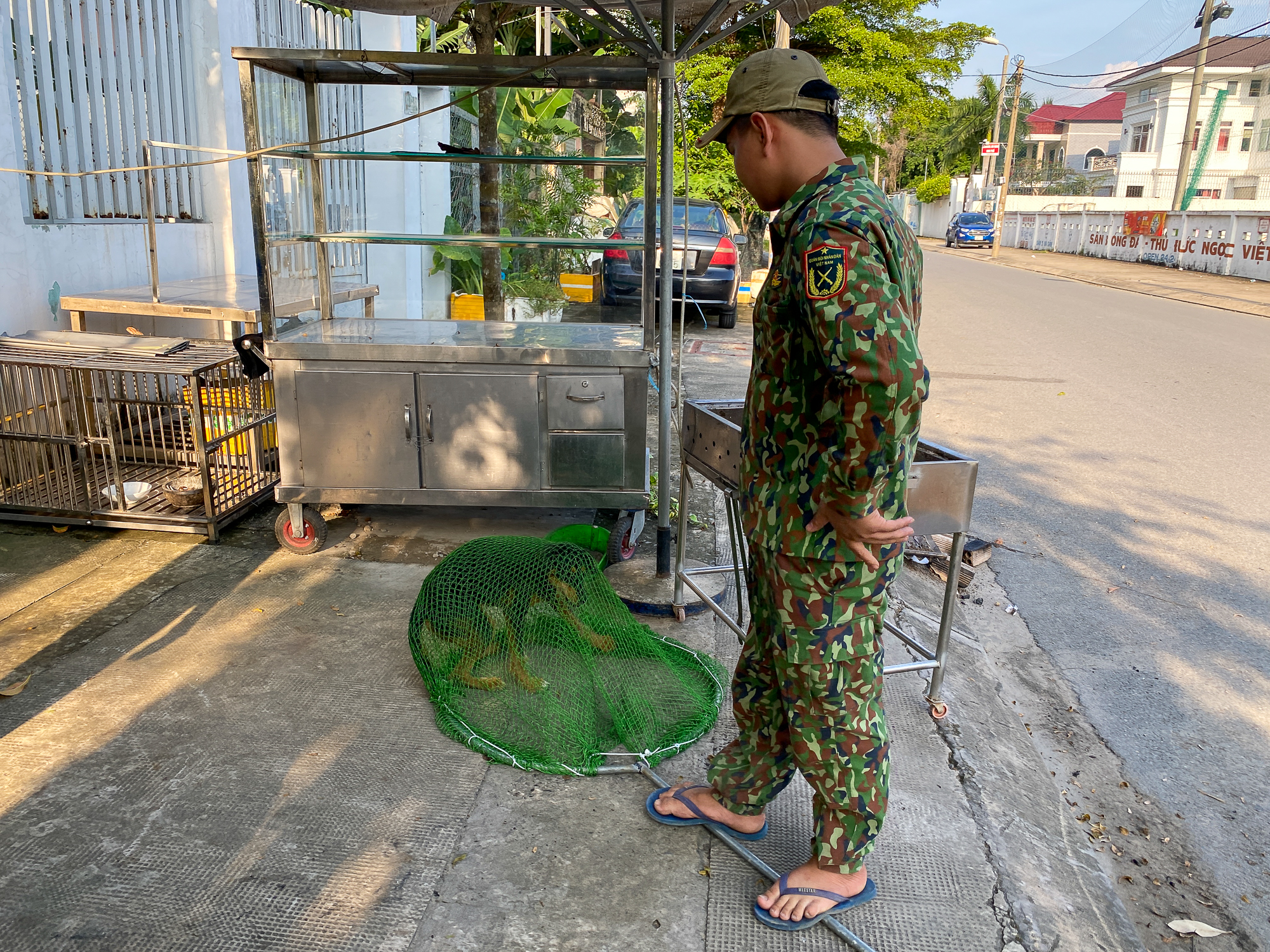 Phường ở TP.HCM ra quân bắt chó thả rông: Chủ nhân tự nguyện giao nộp chó, người dân ủng hộ - Ảnh 3. Phường ở TP.HCM ra quân bắt chó thả rông: Chủ nhân tự nguyện giao nộp chó, người dân ủng hộ - Ảnh 3.