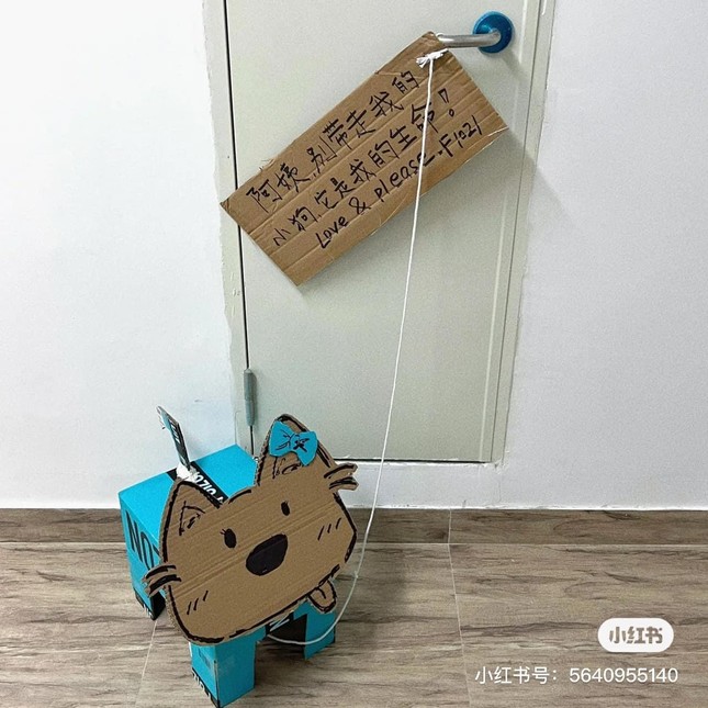 Giới trẻ Trung Quốc rộ trào lưu nuôi 'thú cưng' siêu đáng yêu bằng bìa các tông - Ảnh 12.