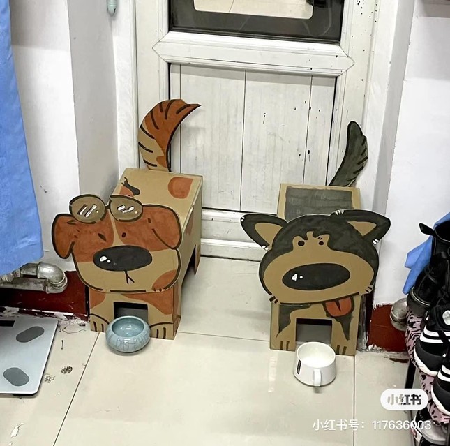 Giới trẻ Trung Quốc rộ trào lưu nuôi 'thú cưng' siêu đáng yêu bằng bìa các tông - Ảnh 3.