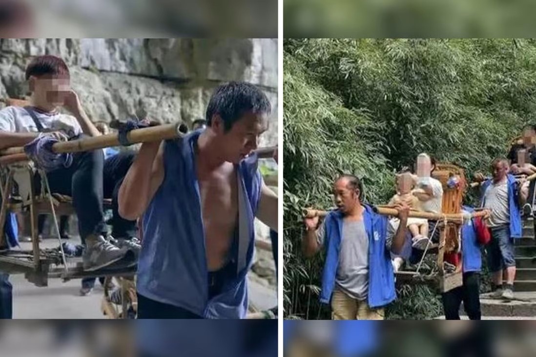 Thuê người cõng chó cưng lên núi ngắm cảnh, cô gái hứng đủ lời chỉ trích - 2