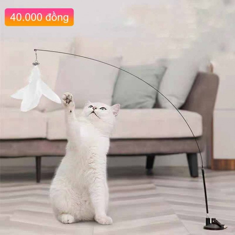 Top 5 món đồ chơi nên sắm ngay cho mèo,