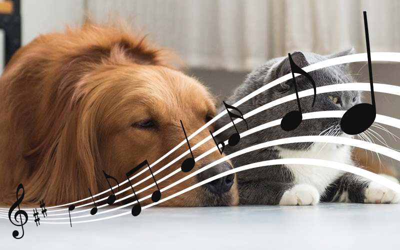 Tên các nhạc sĩ cổ điển