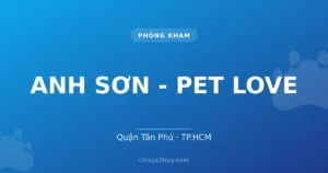 ANH SƠN - PET LOVE