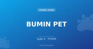 BUMIN PET