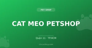 CAT MEO PETSHOP