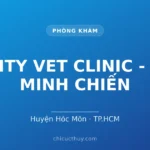 CITY VET CLINIC - A MINH CHIẾN