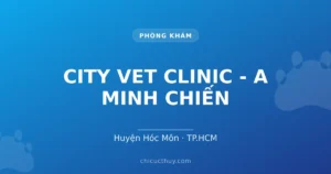 CITY VET CLINIC - A MINH CHIẾN