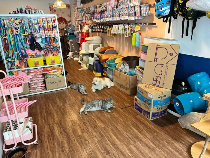 CỬA HÀNG ALICE PET MART - TÂN BÌNH