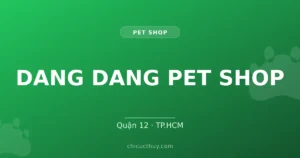 DANG DANG PET SHOP