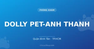 DOLLY PET-ANH THANH