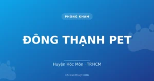 ĐÔNG THẠNH PET