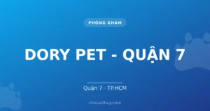 DORY PET - QUẬN 7