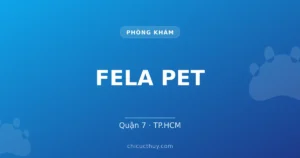 FELA PET