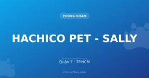 HACHICO PET - SALLY