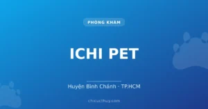 ICHI PET
