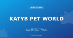 KATYB PET WORLD