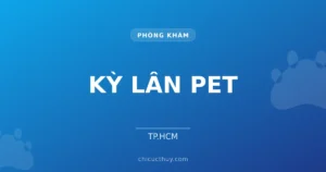 KỲ LÂN PET
