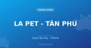 LA PET - TÂN PHÚ