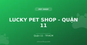 LUCKY PET SHOP - QUẬN 11