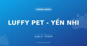 LUFFY PET - YẾN NHI