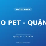 MISO PET - QUẬN 12