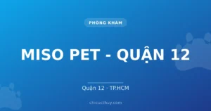 MISO PET - QUẬN 12