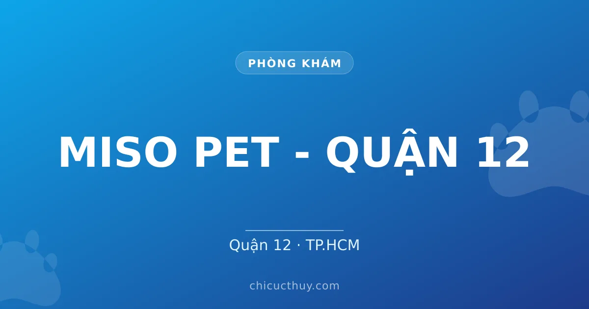 MISO PET - QUẬN 12