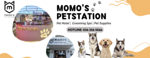 MOMO PET STATION Q7
