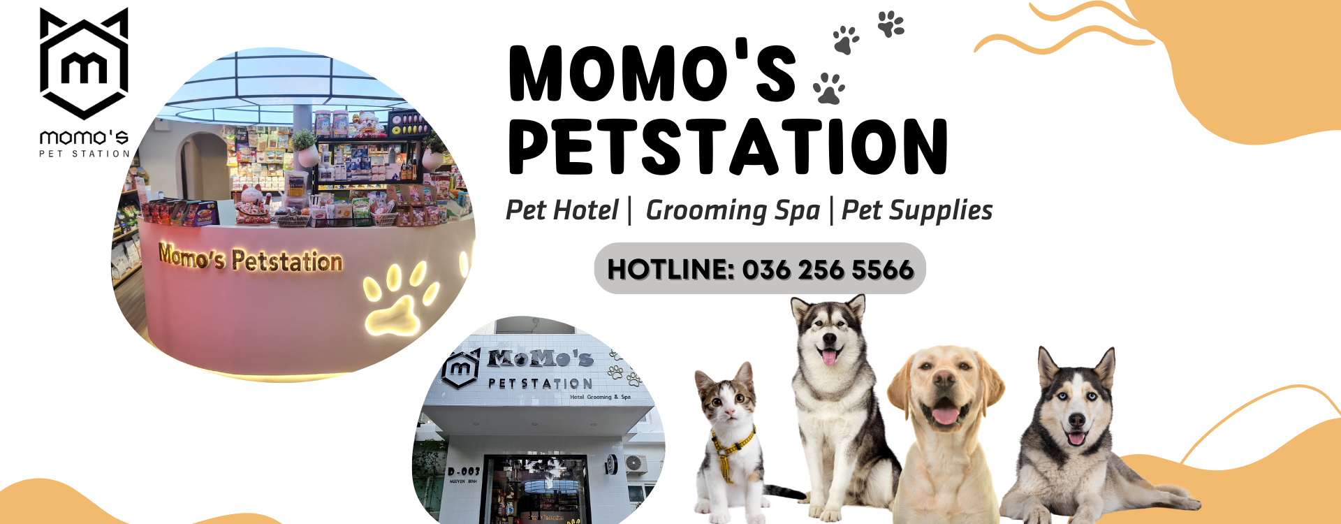 MOMO PET STATION Q7