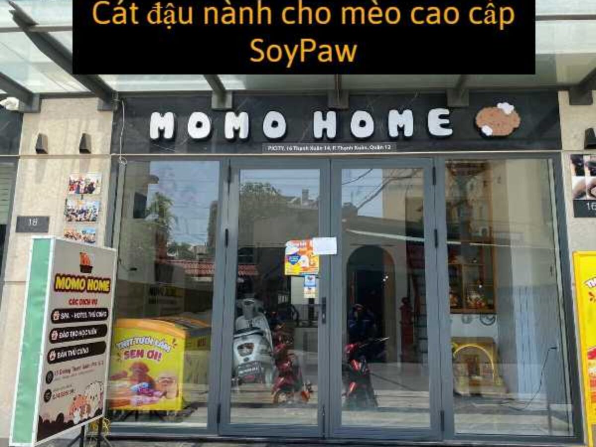MOMO PETSHOP