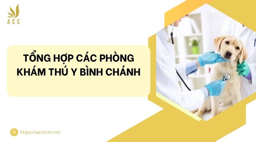 MỘNG TRINH - THÚ Y PETLOVE BÌNH CHÁNH