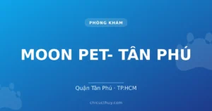 MOON PET- TÂN PHÚ