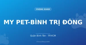 MY PET-BÌNH TRỊ ĐÔNG