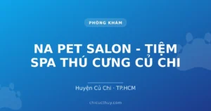 NA PET SALON - TIỆM SPA THÚ CƯNG CỦ CHI