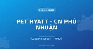 PET HYATT - CN Phú Nhuận