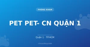 PET PET- CN QUẬN 1