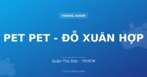 PET PET - ĐỖ XUÂN HỢP