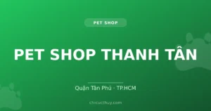 PET SHOP THANH TÂN