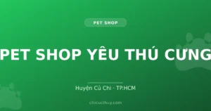 PET SHOP YÊU THÚ CƯNG